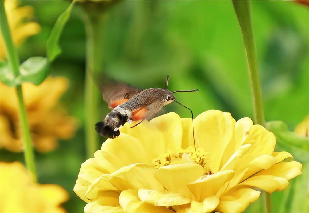 1665466843104547.png 8.png