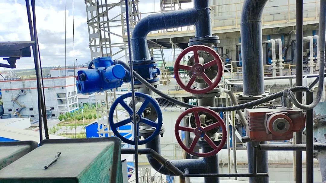 1691047165513434.jpg 640 (2).jpg