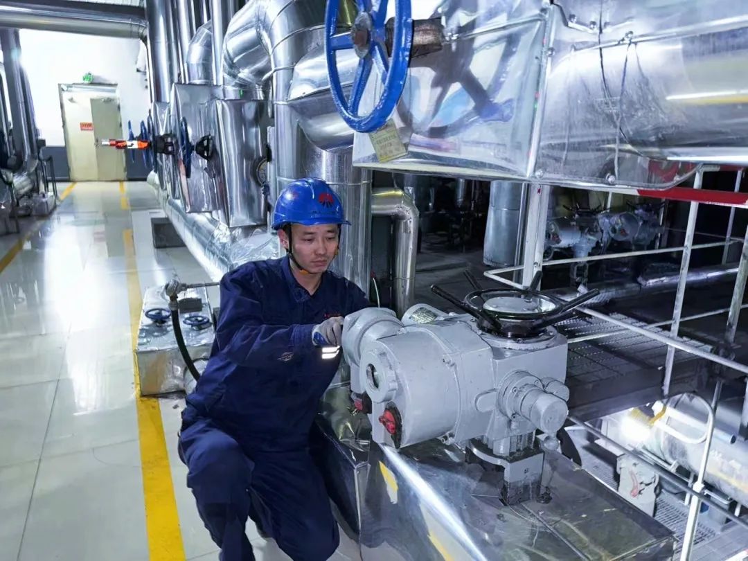 1711584271567976.jpg 2.jpg