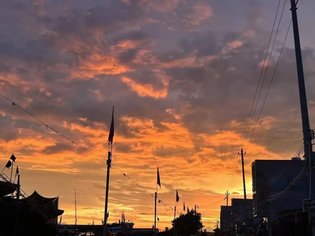 1722216663211372.jpg 微信图片_20240729091956.jpg