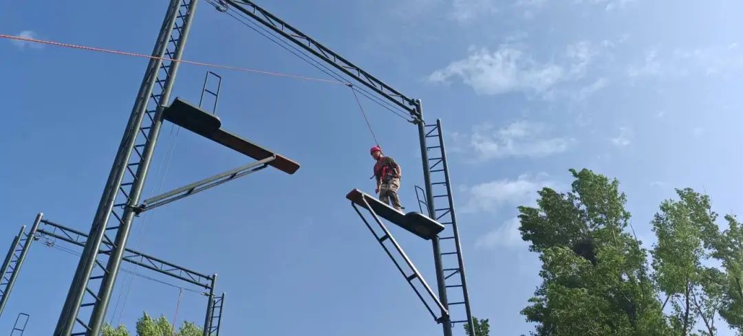 1750295607116375.jpg 5.1.jpg