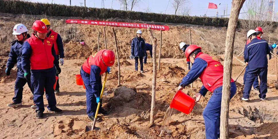 1774484500275833.jpg 640 (2).jpg